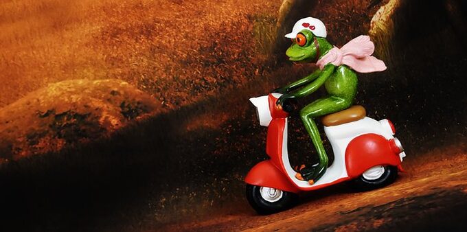 frog-scooter.jpg