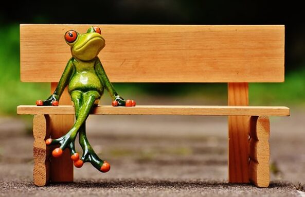 frog-attente sur banc.jpg