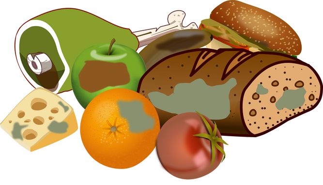 gaspillage alimentaire.png