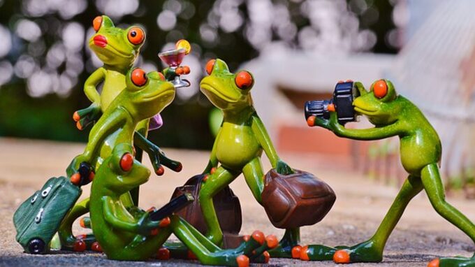frogs-photographe gp.jpg